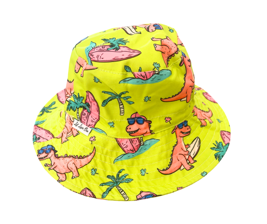 Dino Dive Adjustable hat