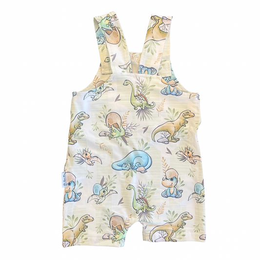 Dinosaurs Overall