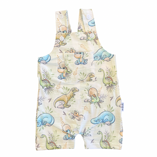 Dinosaurs Overall